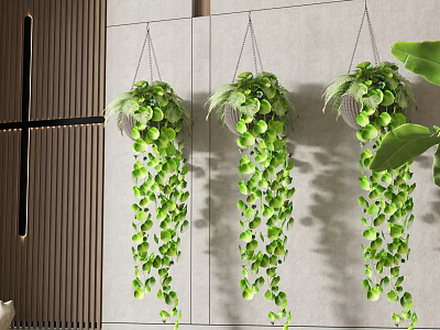 Lush Hanging Basket Plants with Trailing Green Leaves for Indoor Wall Decoration 3d model