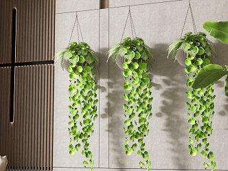 Modern hanging basket vine 3d model