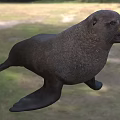 Brown Sea Lion Displaying Open Mouth In Natural Shore Setting With Green Grass And Sand