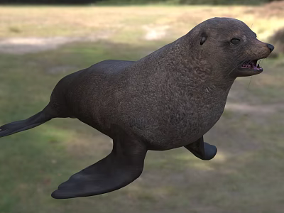 Brown Sea Lion Displaying Open Mouth In Natural Shore Setting With Green Grass And Sand 3d model