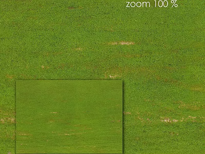 Lush Green Grass Natural Outdoor Landscape With Fresh Texture And Details 3d model