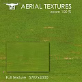 Lush Green Grass Natural Outdoor Landscape With Fresh Texture And Details