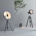 Modern Interior Lighting Combinations With Tripod Floor Lamps And Green Plants