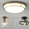 Modern Round and Globular Ceiling Lights with Golden Black Frames and Transparent Glass 3d model