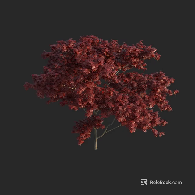 Vibrant Red Leaf Arbor With Dense Foliage Isolated On Black Background 3d model 