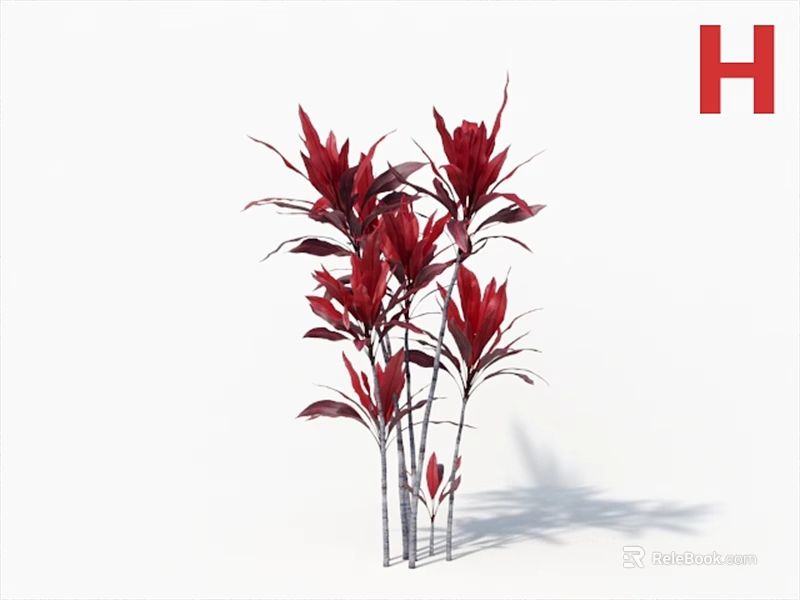 Red Leaf Arbor With Slender Stems Vibrant Red Leaves And Lush Branch Growth 3d model 