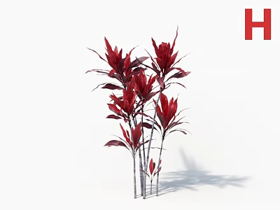 Red Leaf Arbor With Slender Stems Vibrant Red Leaves And Lush Branch Growth 3d model