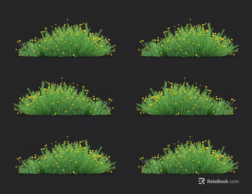 Lush Green Grass With Blooming Yellow Flowers In Natural Garden Scene 3d model 