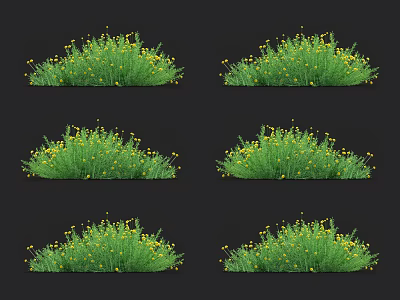 Lush Green Grass With Blooming Yellow Flowers In Natural Garden Scene 3d model