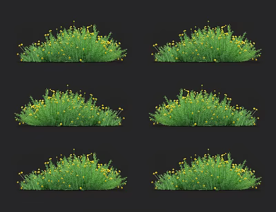 Lush Green Grass With Blooming Yellow Flowers In Natural Garden Scene 3d model