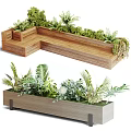 Decorative Wooden Garden Planter Boxes With Various Green Plants Ferns And Foliage