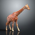 Giraffe Low Model Giraffe African Animal Toy Giraffe Muppet Toy Animal Cartoon Giraffe 3d model