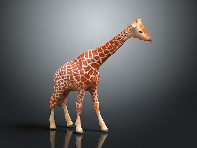 Giraffe Low Model Giraffe African Animal Toy Giraffe Muppet Toy Animal Cartoon Giraffe 3d model