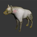 White Hyena With Pink Neck Stripes Standing In Gray Background