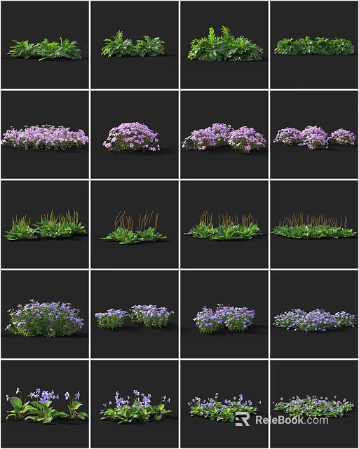 Ornamental Flowers and Grasses Featuring Purple Blooms and Green Foliage Varieties 3d model 