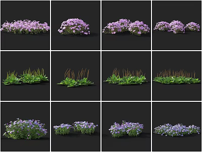 Ornamental Flowers and Grasses Featuring Purple Blooms and Green Foliage Varieties 3d model