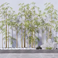 Tall Bamboo Grove Landscape Arrangement With White Pebbles And Gray Background