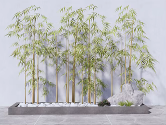 Modern bamboo indoor green bamboo flower bed flower box bamboo 3d model