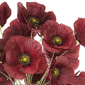 Elegant Decorative Ornament Set With Red Poppy Flowers And Transparent Glass Vase For Home Decor