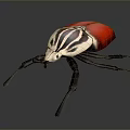 Red And White Striped Beetle With Black Long Legs 3D Model Design 3d model