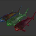 Colorful Aquatic Animals Red Turquoise Purple Fish With Open Mouth On Dark Background