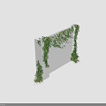 Lush Green Vines Climbing On White Wall With Dense Leaves And Shadows