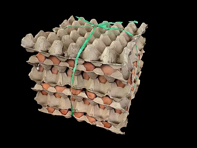 Chicken Eggs Neatly Stacked In Paper Cartons Bundled With Green String 3d model
