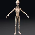 Gray Humanoid Alien Creature 3D Model With Thin Limbs And Large Eyes
