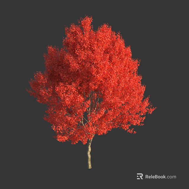Vibrant Red Leaf Arbor With Dense Lush Foliage Against Dark Background 3d model 