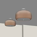 Two Brown Round Ceiling Lights With Glass Shades On White Ceiling 3d model
