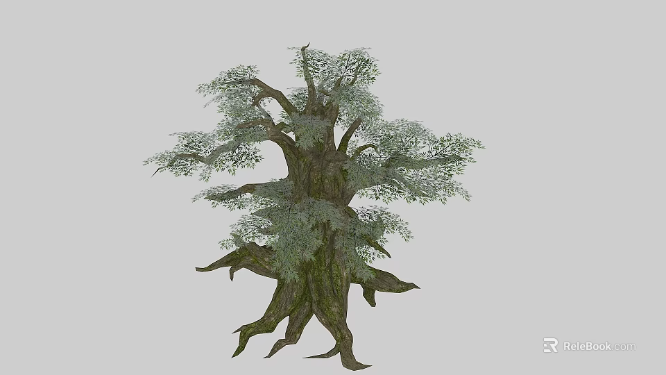 Ancient Tree With Thick Trunk Dense Green Foliage And Exposed Roots 3d model
