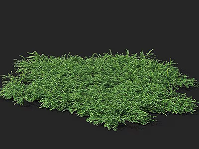 Lush Green Grass Carpet With Fresh Natural Foliage And Vibrant Texture 3d model