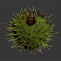 Close Up View Of Green Thorny Plant Fruit With Brown Stem On Dark Background