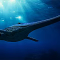 Graceful Manta Ray Gliding Through Deep Blue Ocean With Sunlight Rays Penetrating Water