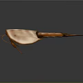 Detailed Horseshoe Crab Body Structure With Carapace Telson Legs And Antennae