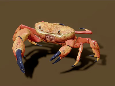 Realistic Orange Crab Aquatic Animal With Blue Claws And Detailed Features 3d model