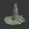 Colorful Tree Stump with Textured Roots Weathered Surface and Natural Patterns