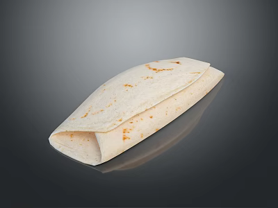 Folded Tortilla Wrap With Light Brown Toasted Spots And Soft Texture 3d model