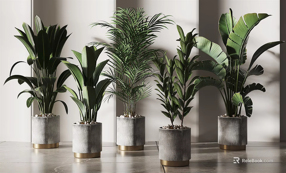 Modern Potted Green Plants in Concrete Planters with Gold Base for Interior Decor 3d model 