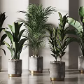 Modern Potted Green Plants in Concrete Planters with Gold Base for Interior Decor
