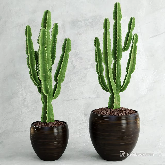 Green Cactus Potted Plants in Brown Ceramic Pots for Indoor Decoration 3d model 