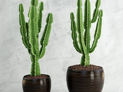 Green Cactus Potted Plants in Brown Ceramic Pots for Indoor Decoration 3d model