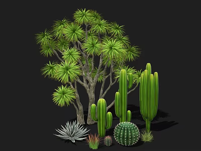 Diverse Green Plants Including Leafy Tree Tall Cacti Round Cactus And Succulents 3d model
