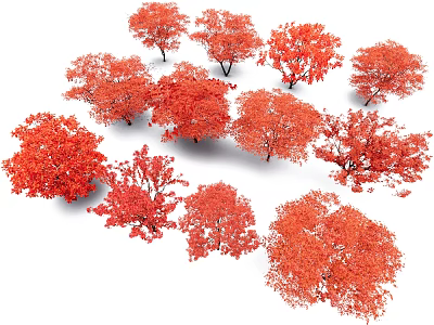 Multiple Red Leaf Trees Cluster Display Vibrant Autumn Foliage And Natural Beauty 3d model