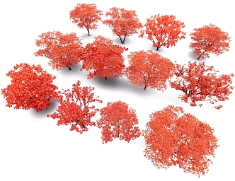 red arbor garden tree season arbor park arbor 3d model