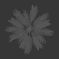Palm Tree with Green Fronds and Brown Trunk Isolated on Gray Background