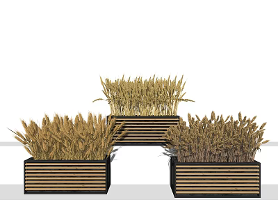 modern potted plant potted wheat bouquet wheat dried flower 3d model