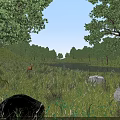 Scenic Lush Green Meadow With Deer By Calm Lake And Tall Trees Near Rocks
