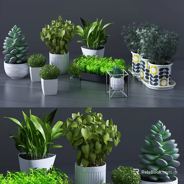 Bonsai and Potted Plants with Various Green Foliage in Stylish Planters 3d model 