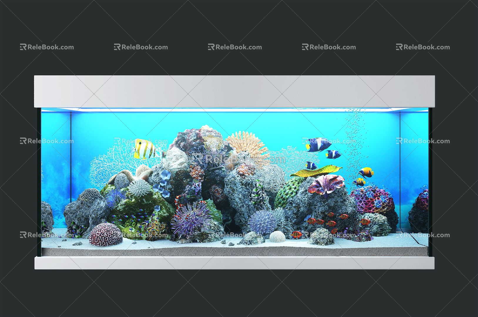 Modern Fish Tank Popular Fish Tank 3d model